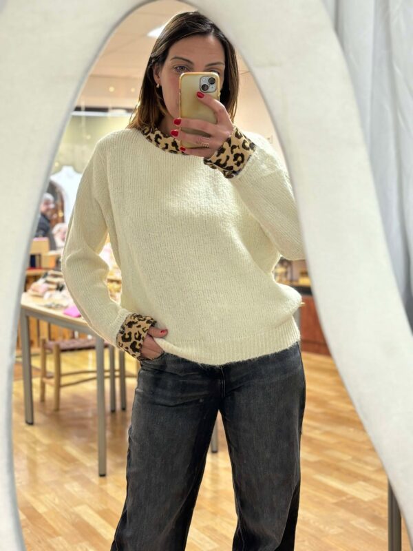 Le pull Léo