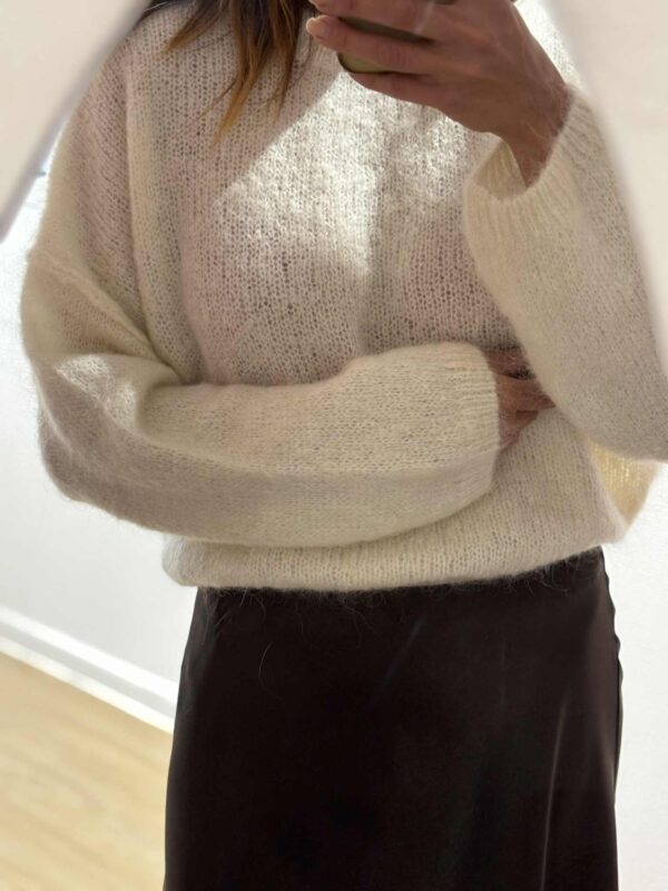 Le pull Roz